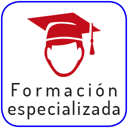 formación especializada automóvil