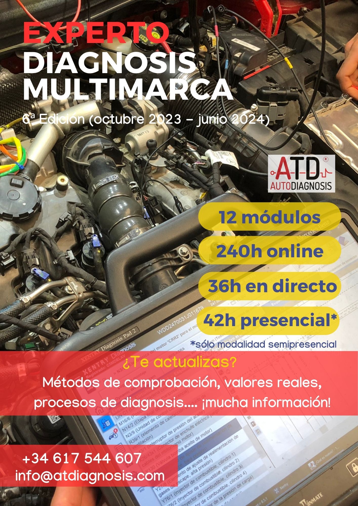 experto en diagnosis multimarca